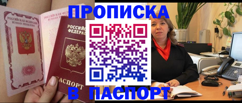 прописка поиск в Невеле